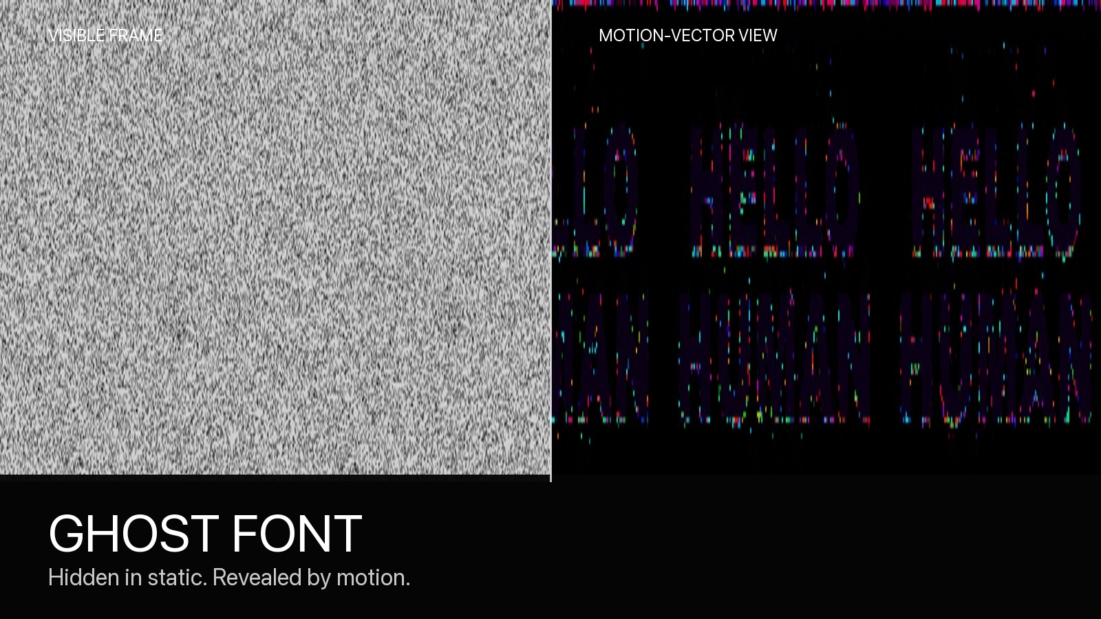 Visible video static beside motion vectors that reveal HELLO HUMAN
